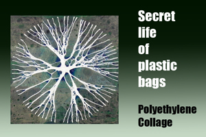Secret Life of Plastic Bags Polyprophylene Collage